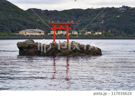 下田港　毘沙子島（静岡県下田市） 117038628
