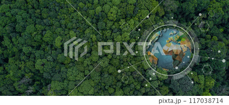 Aerial view texture and background of green tree forest, Lush green tree forest tropical jungle texture and background, Abstract nature green tree forest background. 117038714