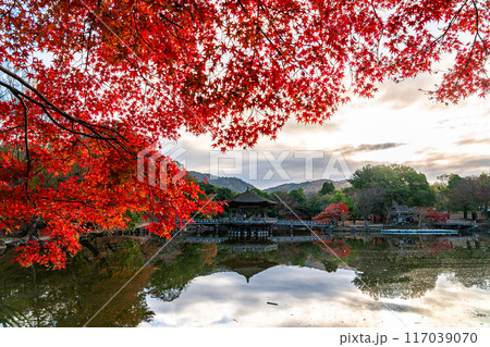 【奈良県】鮮やかな紅葉が綺麗な奈良公園の浮見堂 117039070