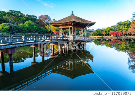 【奈良県】池への映り込みが綺麗な奈良公園の浮見堂 【奈良県】池への映り込みが綺麗な奈良公園の浮見堂 117039073