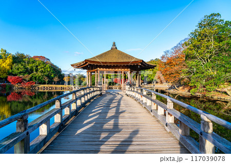 【奈良県】早朝の光に照らされた奈良公園の浮見堂 【奈良県】早朝の光に照らされた奈良公園の浮見堂 117039078
