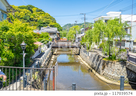 下田市旧澤村邸から見るペリーロード 117039574