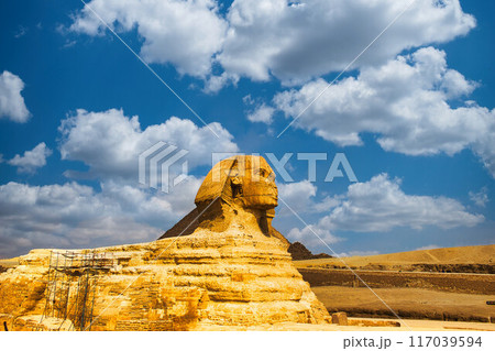 スフィンクス 117039594