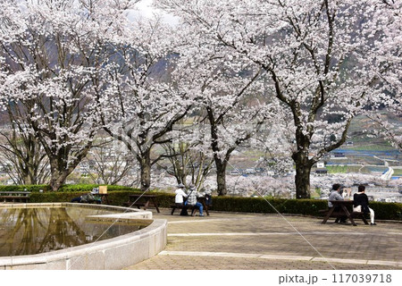 甲州市　勝沼ぶどうの丘噴水広場と満開桜 117039718