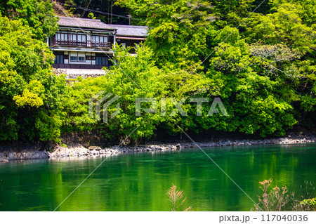 【京都風景】宇治川の静かなひととき（宇治橋から白虹橋まで） 117040036