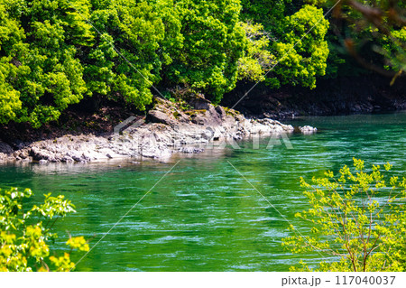 【京都風景】宇治川の静かなひととき（宇治橋から白虹橋まで） 117040037