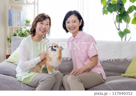 介護　ソファーで犬を可愛がるシニア女性と介護士 117040352