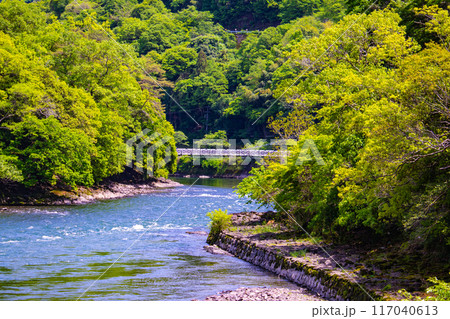 【京都風景】宇治川の静かなひととき(宇治橋から白虹橋まで) 【京都風景】宇治川の静かなひととき(宇治橋から白虹橋まで) 117040613