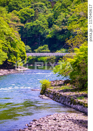 【京都風景】宇治川の静かなひととき（宇治橋から白虹橋まで） 117040617
