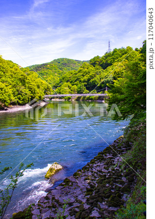 【京都風景】宇治川の静かなひととき（宇治橋から白虹橋まで） 117040643