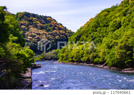 【京都風景】宇治川の静かなひととき（宇治橋から白虹橋まで） 117040661