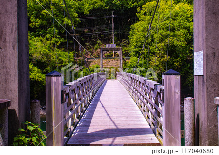 【京都風景】宇治川の静かなひととき（宇治橋から白虹橋まで） 117040680