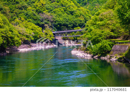 【京都風景】宇治川の静かなひととき（宇治橋から白虹橋まで） 117040681