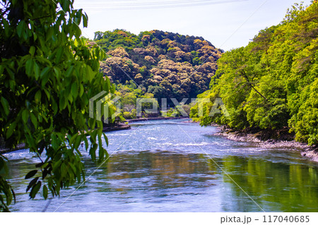 【京都風景】宇治川の静かなひととき(宇治橋から白虹橋まで) 【京都風景】宇治川の静かなひととき(宇治橋から白虹橋まで) 117040685