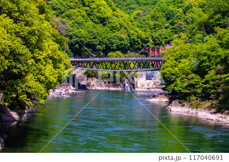 【京都風景】宇治川の静かなひととき(宇治橋から白虹橋まで) 【京都風景】宇治川の静かなひととき(宇治橋から白虹橋まで) 117040691