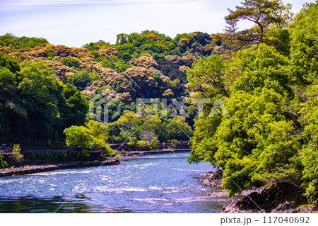 【京都風景】宇治川の静かなひととき（宇治橋から白虹橋まで） 117040692