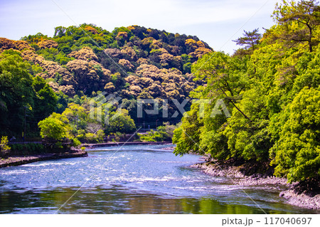 【京都風景】宇治川の静かなひととき(宇治橋から白虹橋まで) 【京都風景】宇治川の静かなひととき(宇治橋から白虹橋まで) 117040697