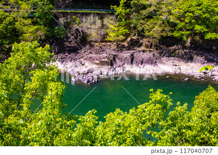 【京都風景】宇治川の静かなひととき（宇治橋から白虹橋まで） 117040707