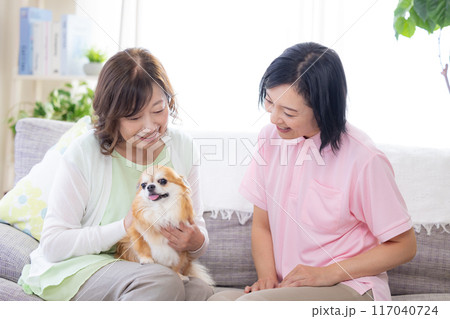 介護　ソファーで犬を可愛がるシニア女性と介護士 117040724