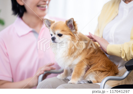 介護 犬を可愛がるシニア女性と介護士 介護 犬を可愛がるシニア女性と介護士 117041297