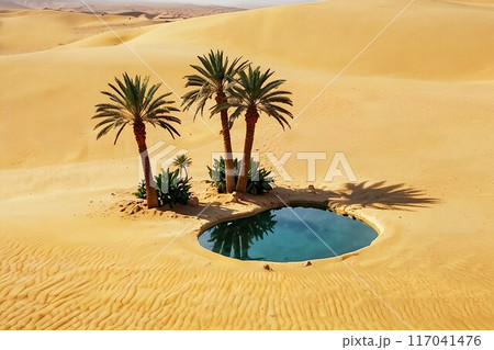 オアシス 117041476