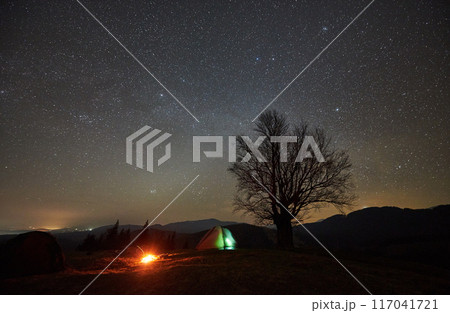 Night camping. Lone tent glows softly beside campfire under star-studded sky. Silhouette of leafless tree stands against mountainous horizon, creating serene and mesmerizing night scene in nature. Night camping. Lone tent glows softly beside campfire under star-studded sky. Silhouette of leafless tree stands against mountainous horizon, creating serene and mesmerizing night scene in nature. 117041721