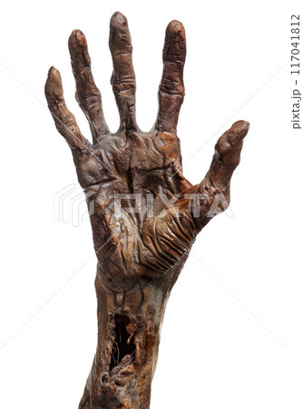 Zombie Hand 117041812