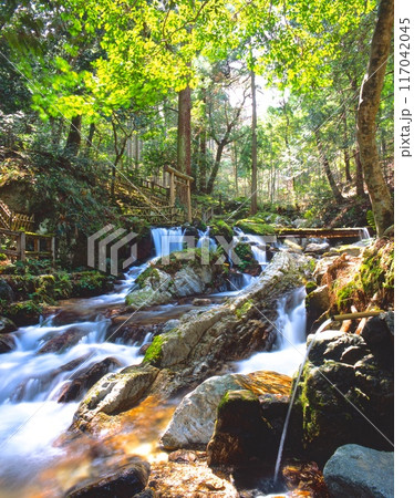 瓜割の滝「日本名水百選」「水の郷百選」/若狭瓜割名水公園/若狭の新緑の季節 117042045