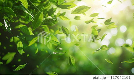 風に舞う緑の葉 風に舞う緑の葉 117042161