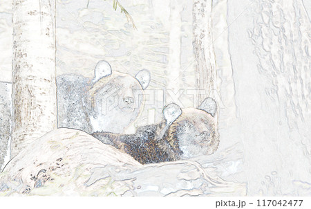 パステル調　”2頭のヒグマ”　イラストイメージ 117042477