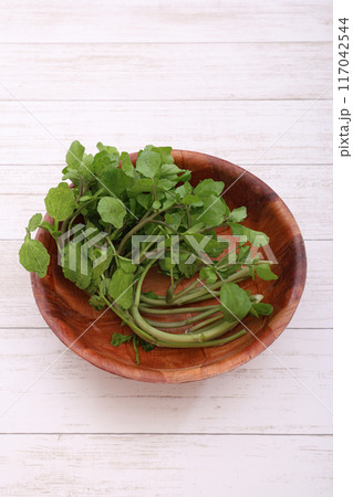 クレソン クレソン 117042544