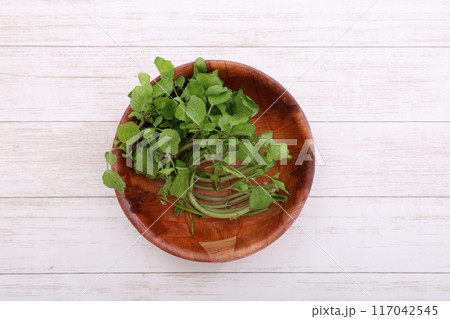 クレソン 117042545