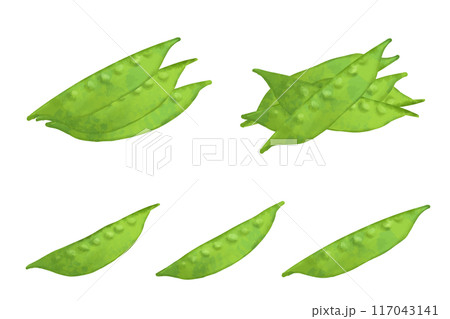 絹さやのかまぼこの水彩風ベクターイラスト 117043141