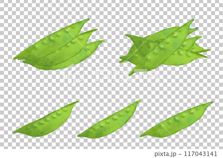 絹さやのかまぼこの水彩風ベクターイラスト 117043141