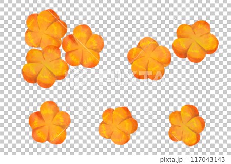 Watercolor vector illustration of decoratively cut carrots - Plum 117043143