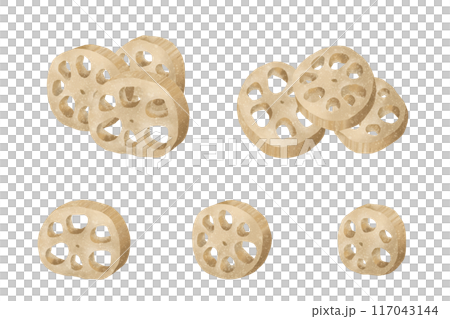 蓮藕水彩風格向量插畫 117043144