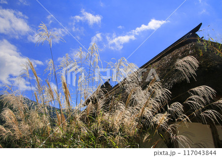 夏の大内宿(福島県・下郷町) 夏の大内宿(福島県・下郷町) 117043844