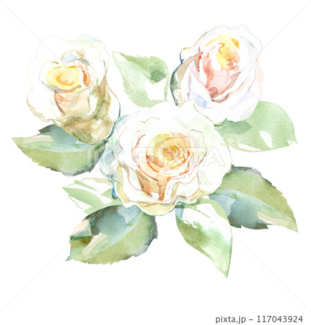 White roses with green leaves in collection garden flowers. Watercolor illustration for wedding floral design of bouquets, wreaths, arrangements, wedding invitations, anniversary, birthday, postcards White roses with green leaves in collection garden flowers. Watercolor illustration for wedding floral design of bouquets, wreaths, arrangements, wedding invitations, anniversary, birthday, postcards 117043924