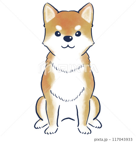 正面でお座りしている柴犬の水彩の手描きイラスト 117043933