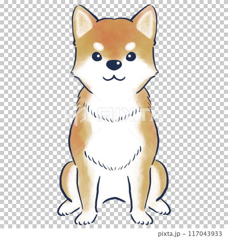 正面でお座りしている柴犬の水彩の手描きイラスト 117043933