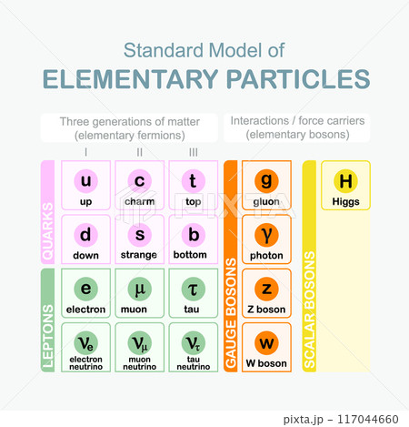 Standard Model of Elementary Particles vector design Standard Model of Elementary Particles vector design 117044660