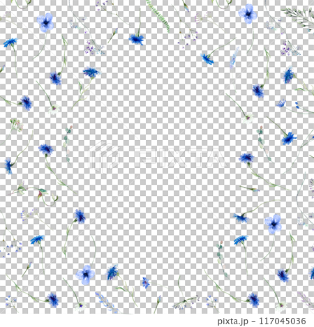 Frame made with Watercolor blue cornflowers and wildflowers, wedding isolated illustration Frame made with Watercolor blue cornflowers and wildflowers, wedding isolated illustration 117045036