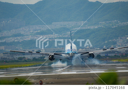 大阪国際空港 ANA 旅客機 着陸 大阪国際空港 ANA 旅客機 着陸 117045168