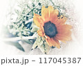 輝いている真夏のブーケ 117045387