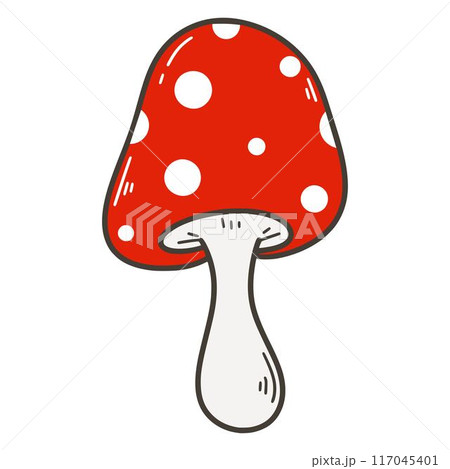 Fly agaric isolated on white background 117045401