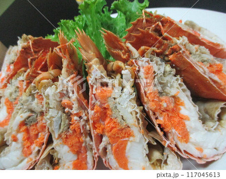 熊本県天草市、海辺の旅館の夕食で提供された、茹でたセミエビ 熊本県天草市、海辺の旅館の夕食で提供された、茹でたセミエビ 117045613