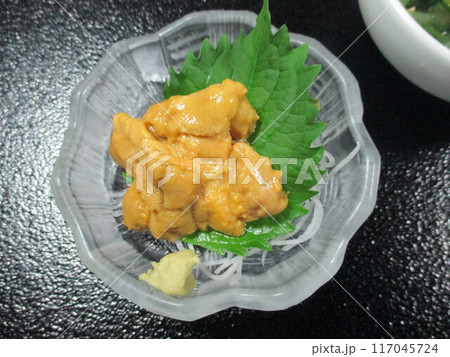 熊本県天草市、海辺の旅館の夕食で提供された生うに 熊本県天草市、海辺の旅館の夕食で提供された生うに 117045724
