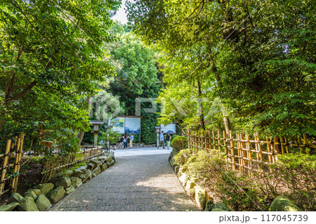 日本の寒川都市景観　相模國一之宮 寒川神社。緑が多い＝令和6年7月21日 117045739