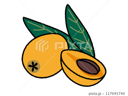 びわのイラスト びわのイラスト 117045740