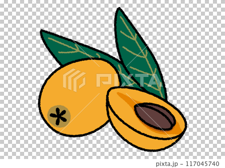 びわのイラスト びわのイラスト 117045740